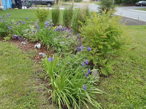 DK Rain Garden 6.14 sm