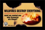 WildfireDestroys