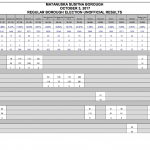 Unofficial election results for Oct. 3, 2017