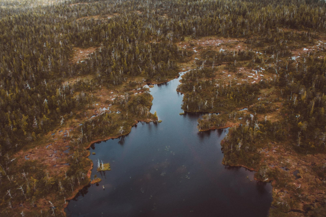 Story Map aerial wetland